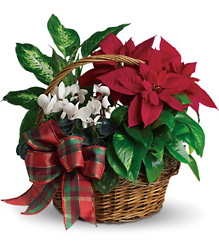 Holiday Homecoming Basket In Waterford Michigan Jacobsen's Flowers